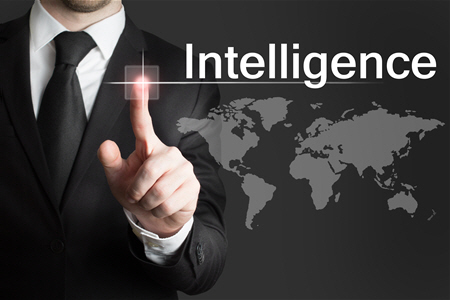 Intelligence and open-source investigation